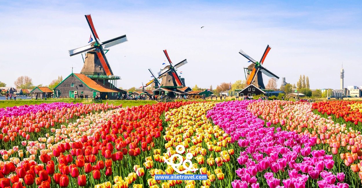 هولندا سياحة