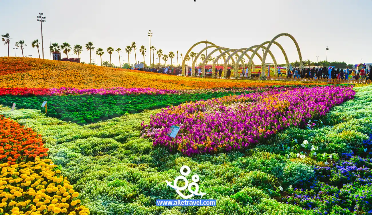 الزهور والحدائق في مدينة ينبع