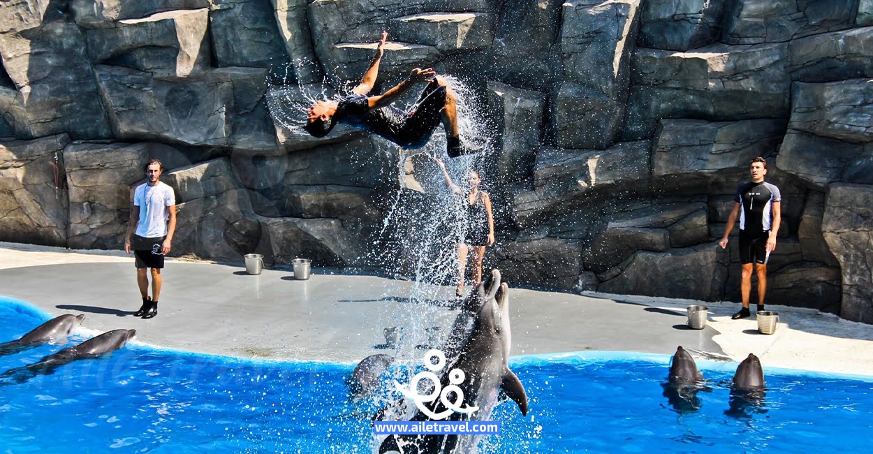 دولفيناريوم باتومي