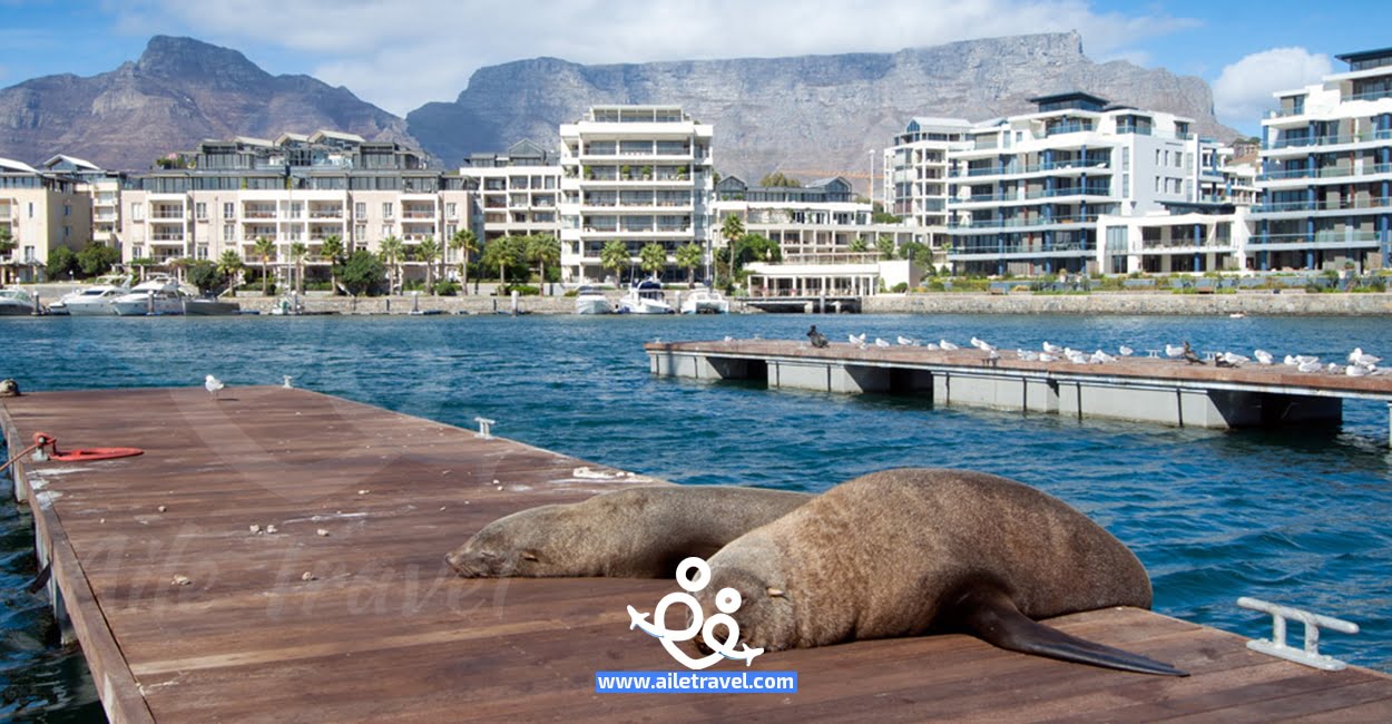 كيب تاون سياحة جنوب افريقيا
