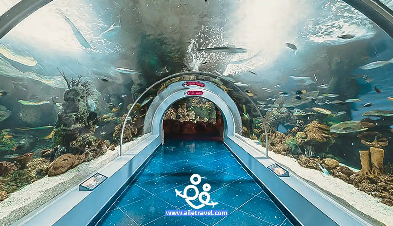 فقيه أكواريوم جدة