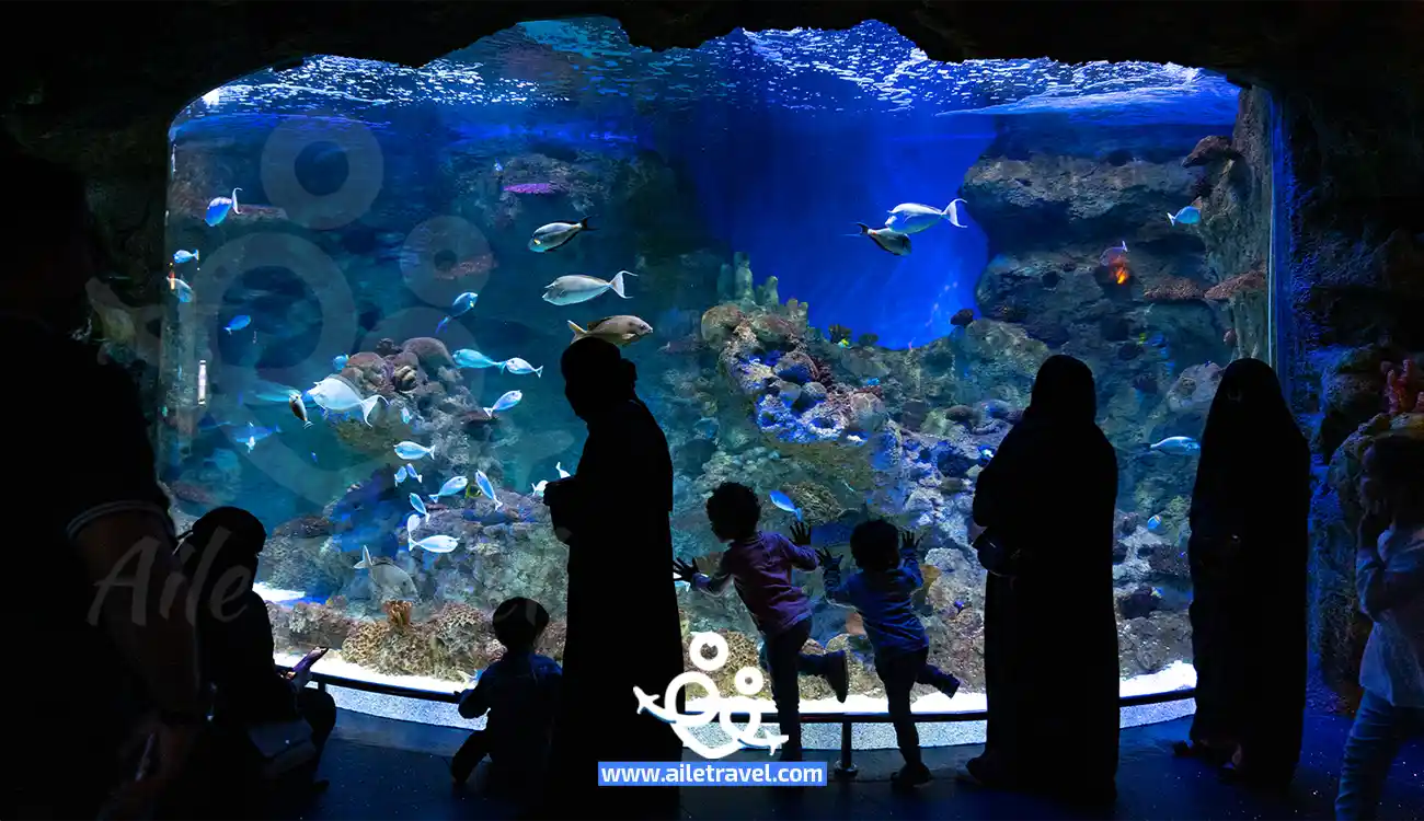 فقيه أكواريوم