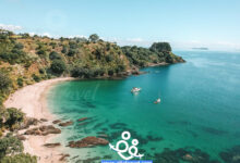 السياحة في اوكلاند نيوزيلندا