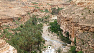 السياحة في بسكرة الجزائر