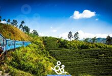 السياحة في نوارا اليا سيريلانكا