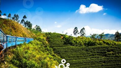 السياحة في نوارا اليا سيريلانكا