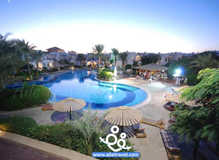 فندق دايف ان شرم الشيخ فندق دايف ان شرم الشيخ